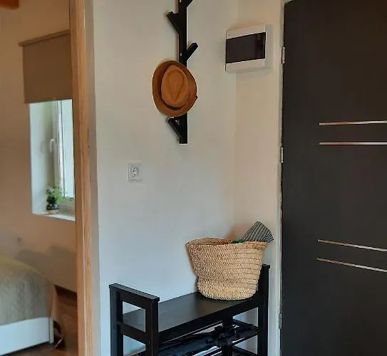 Vulcanus * בדקסוניטומאי